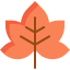 Maple leaf 图标 64x64