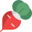 Radish 图标 64x64