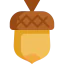 Acorn 图标 64x64