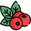 Berries Symbol 64x64