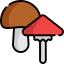 Mushrooms icon 64x64