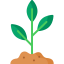 Plant 图标 64x64
