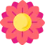 Flower 图标 64x64