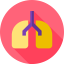 Lungs icon 64x64