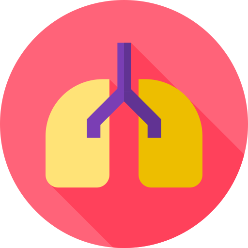 Lungs icon