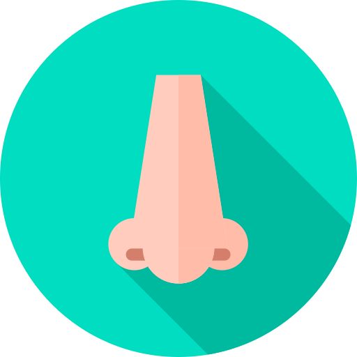 Nose icon