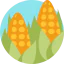 Corn icon 64x64