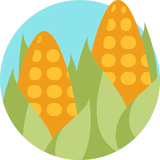Corn Symbol