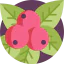 Berries Symbol 64x64
