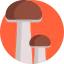 Mushroom Symbol 64x64