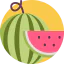 Watermelon Symbol 64x64