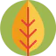 Leaf Symbol 64x64