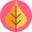 Leaf Symbol 64x64