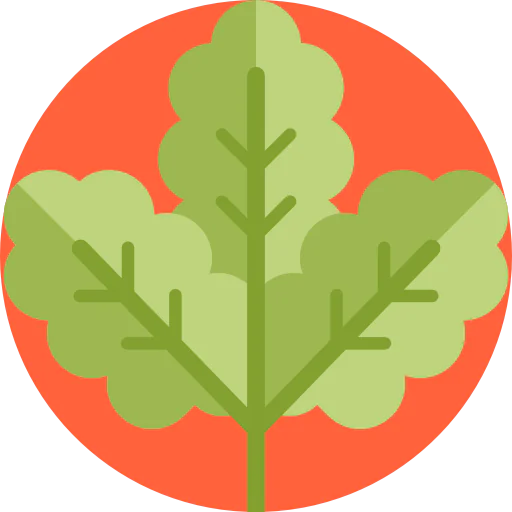 Leaf Symbol