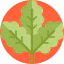 Leaf icon 64x64