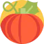 Pumpkin icon 64x64