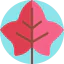 Leaf icon 64x64