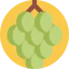 Grape icon 64x64