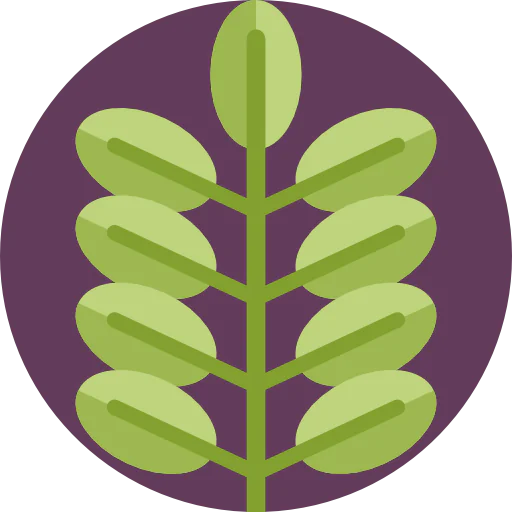 Leaf Symbol
