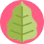 Leaf Symbol 64x64