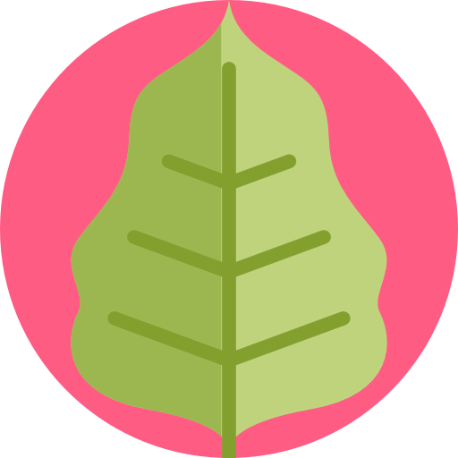 Leaf Symbol