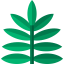 Fern アイコン 64x64