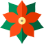 Poinsettia icon 64x64