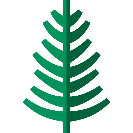 Branch 상
