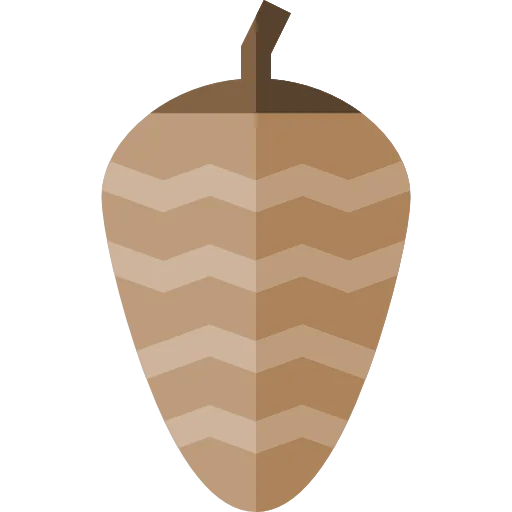 Pine cone 图标
