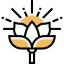 Lotus icon 64x64