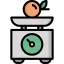 Weight scale icon 64x64
