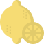 Lemon fruit icon 64x64