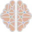 Человеческий мозг иконка 64x64