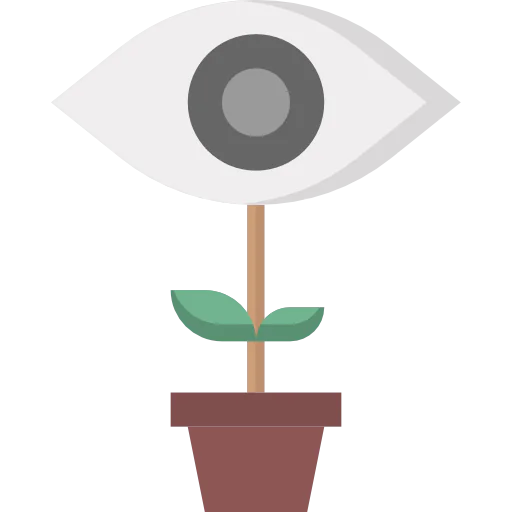 Vision icon