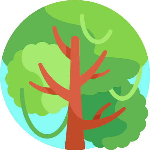Tree icon