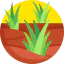Swamp icon 64x64