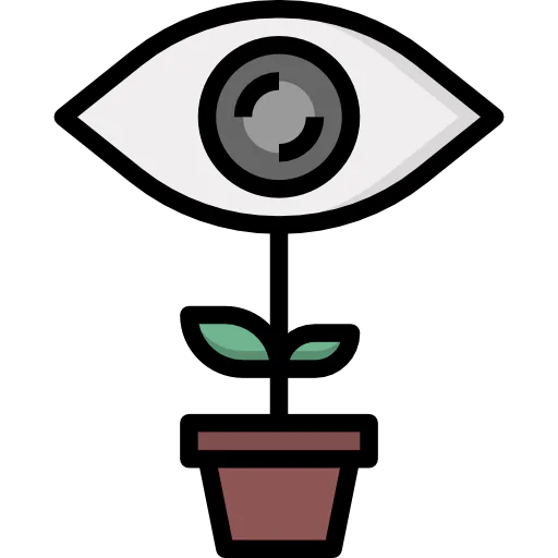 Vision icon