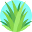 Grass icon 64x64