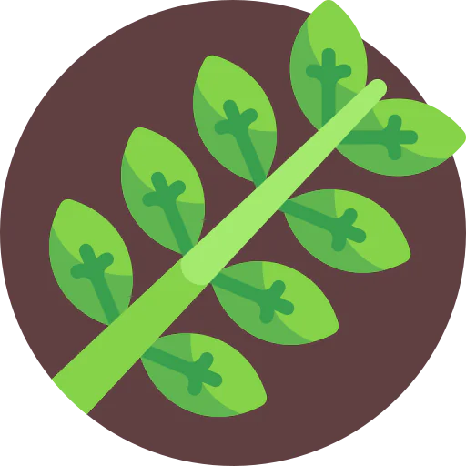 Leaf icon