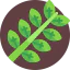 Leaf icon 64x64