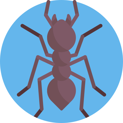 Ant icon