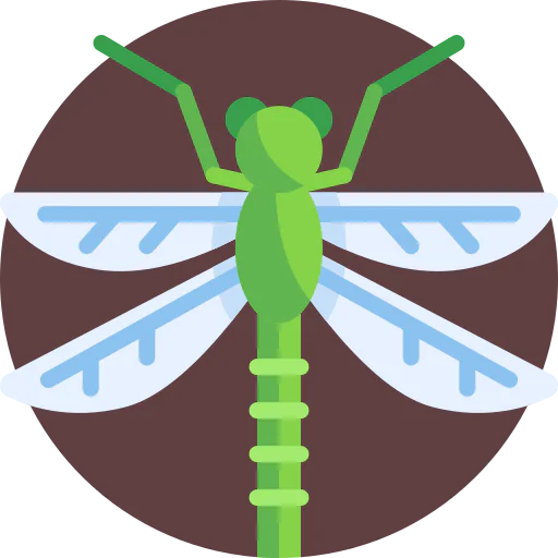 Dragonfly icon