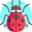 Ladybug icon 64x64