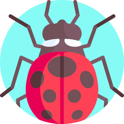 Ladybug icon