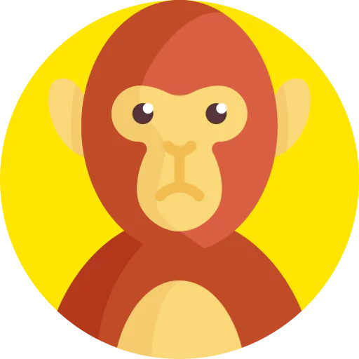 Monkey 상