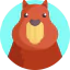 Capybara icon 64x64