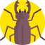Beetle icon 64x64
