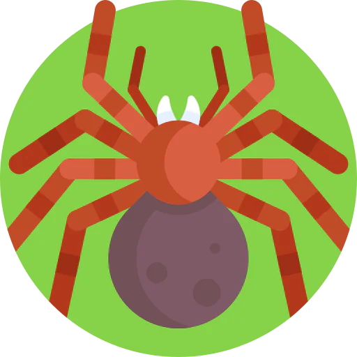 Tarantula icon