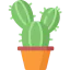 Cactus icon 64x64