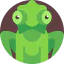 Chameleon icon 64x64